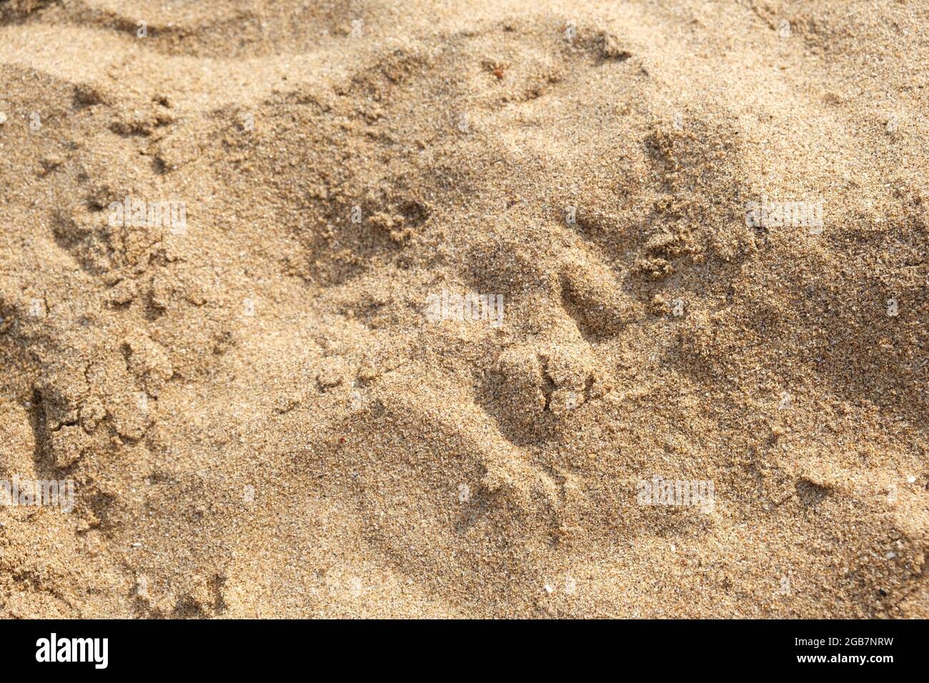 Spiaggia di sabbia, bella idea di fondo di sabbia Foto Stock