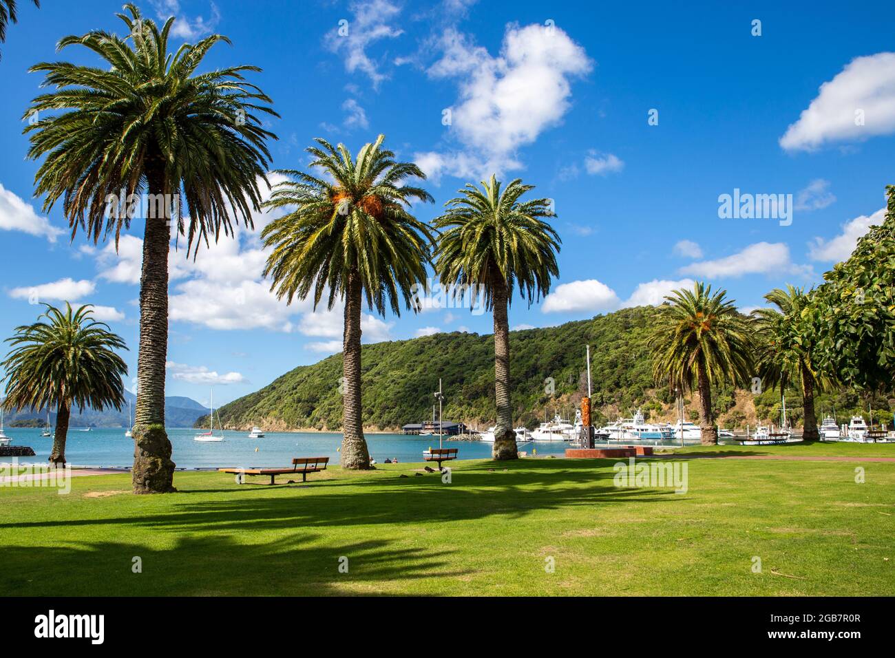 La vista sulla baia dal lungomare di Picton è bellissima, fiancheggiata da palme di nikau ed è un luogo panoramico in cui aspettare il traghetto. Picton, Nuova Zelanda Foto Stock