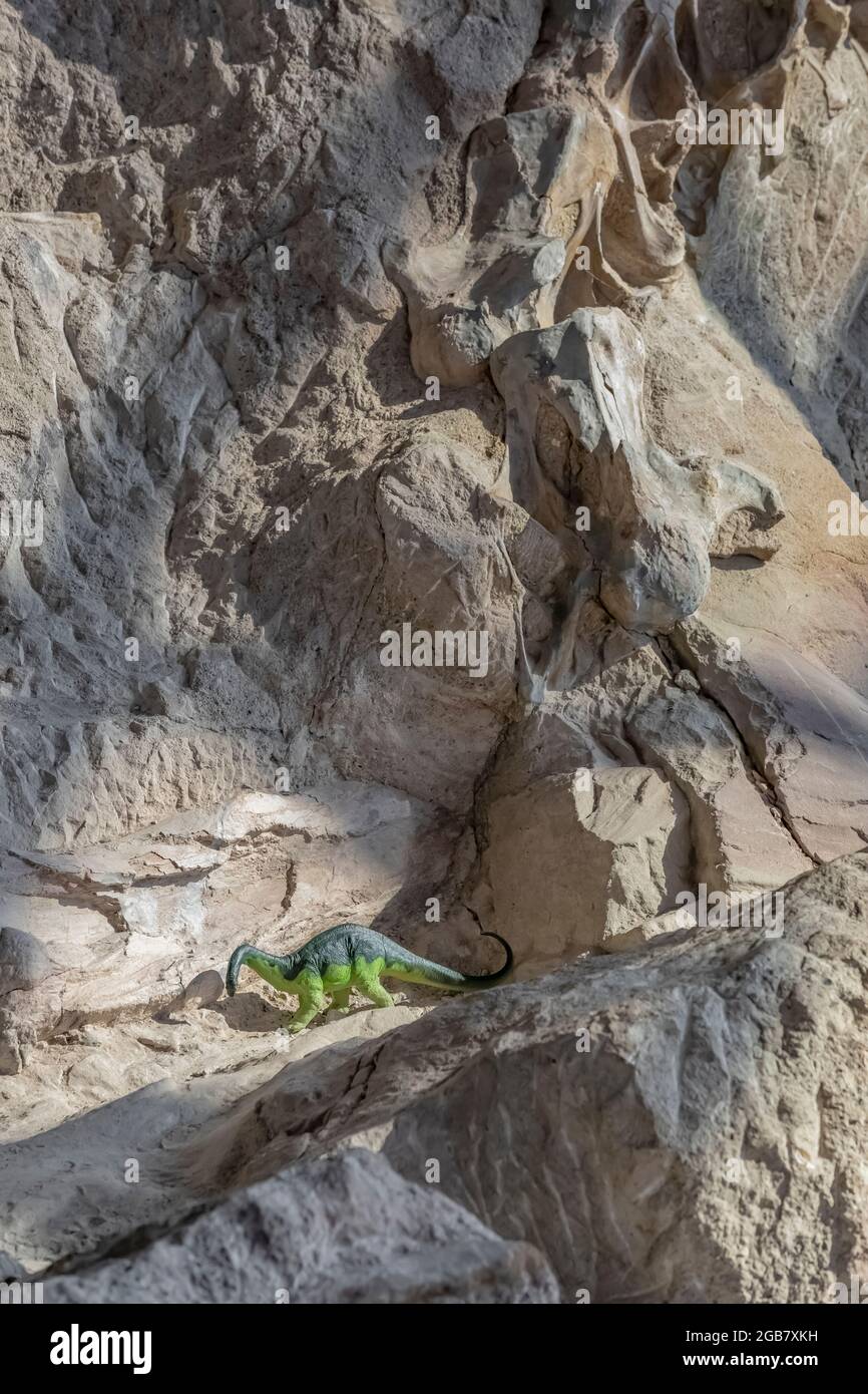 Qualcuno con un senso dell'umorismo ha collocato un piccolo dinosauro giocattolo sull'enorme mostra di ossa fossili nella Sala Esposizioni di Cave del Dinosaur National Monument Foto Stock