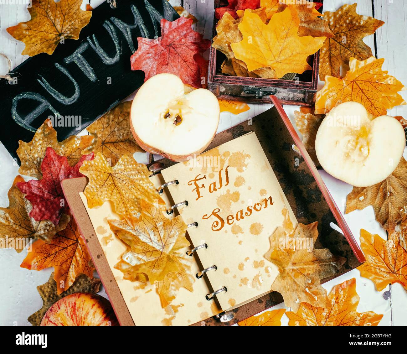 Periodo autunnale. Tema autunno con foglie cadute, notebook e mele. Foto Stock