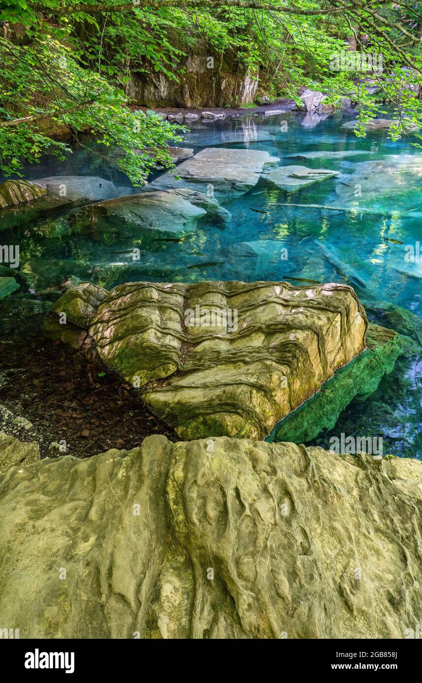 Il pittoresco lago di montagna Blausee situato nella valle del Kander sopra Kandergrund nella regione di Jungfrau, in Svizzera. Foto Stock