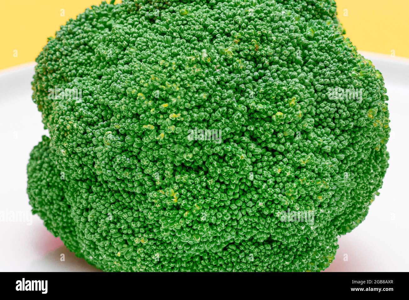 Macro Shot di broccoli freschi e crudi - primo piano. Cavolo verde non fatto. Cultura vegana e vegetariana. Cibo crudo. Alimentazione sana e dieta vegetale Foto Stock