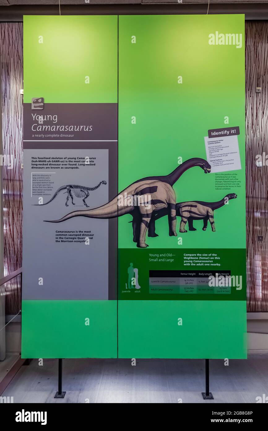 All'interno della Sala Esposizioni di Cave nel Dinosaur National Monument al confine tra Utah e Colorado, Stati Uniti Foto Stock
