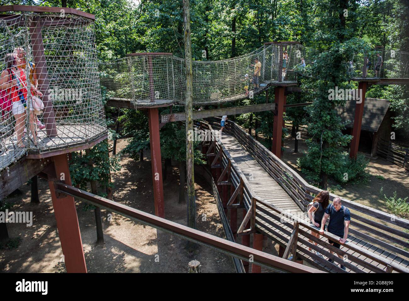 I visitatori che hanno visitato il Parco degli Animali di Nyiregyhaza. Lo Zoo di Nyiregyhazi (Nyiregyhazi Allatpark e Animal Park di Nyiryhaza, conosciuto anche come Zoo di Sosto) si trova in una foresta di betulla naturale, quasi intatta, nel nord-est dell'Ungheria, vicino alla città di Nyiregyhaza. Lo zoo di Nyiregyhaza si trova a circa cinque chilometri dalla zona turistica di Sosto, dove si può rilassarsi con un bagno in spiaggia, un museo del villaggio e un parco. Nell'area di 30 ettari dello zoo, i visitatori si trovano in continenti, in modo che uno che entra può camminare lungo di loro per osservare come gli animali vivono in alcune parti del mondo. Foto Stock