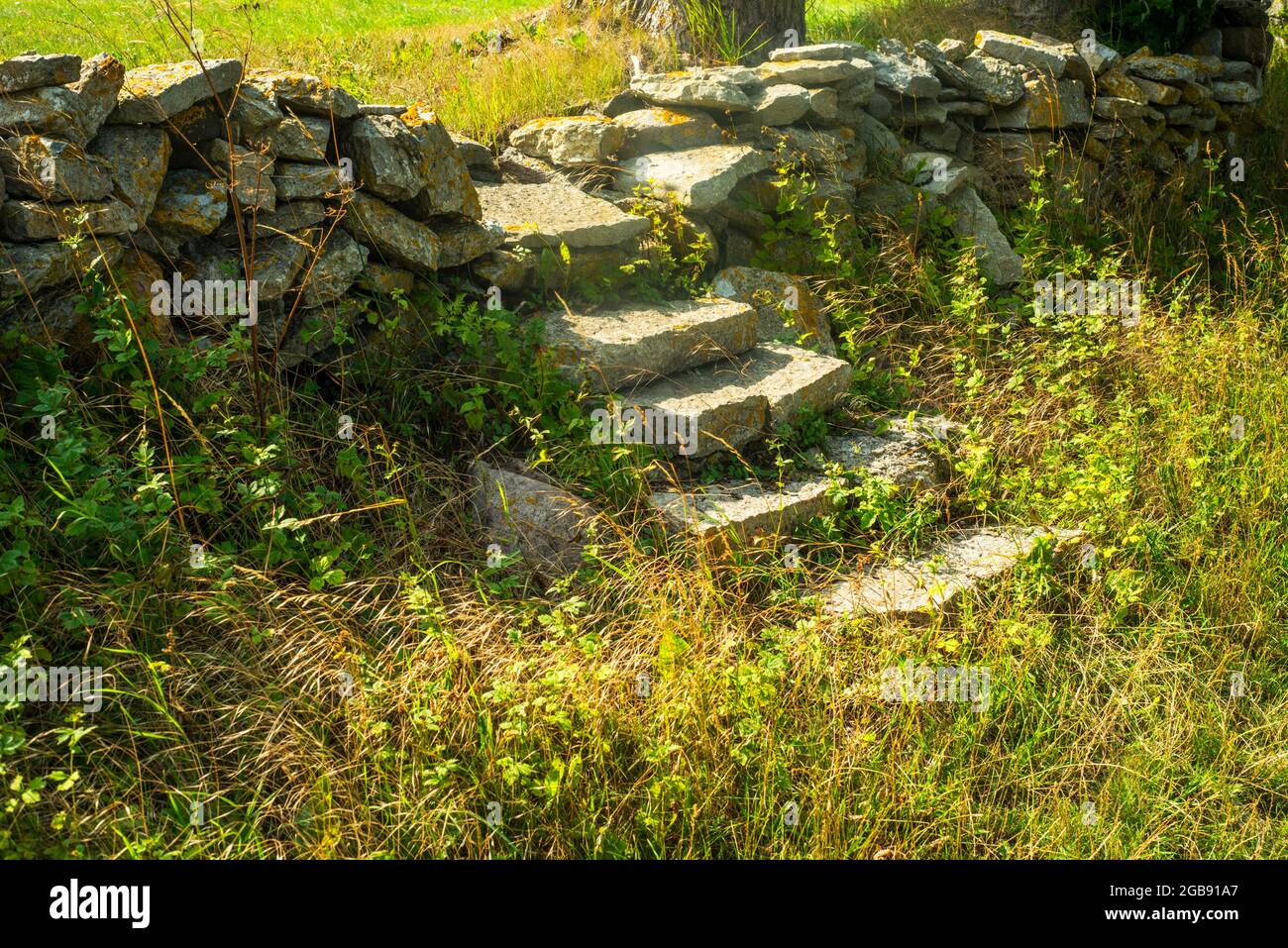 Scalinata su un vecchio muro di pietra abbandonato a Gisloevshammar, comunità Simrishamn, Scania, Svezia, Scandinavia Foto Stock