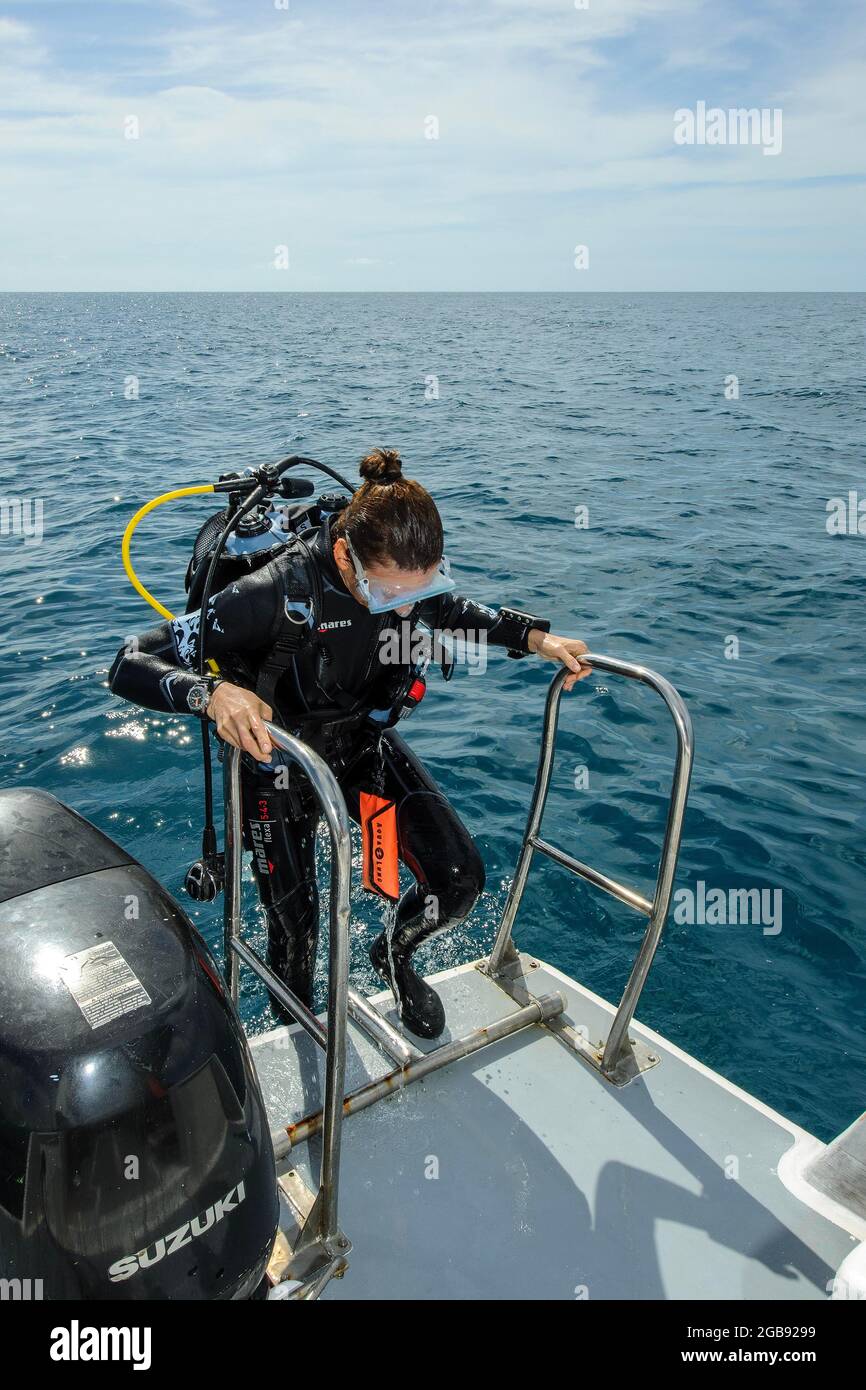 Il subacqueo salirà a scala dalla barca da immersione, Mar Rosso, Egitto Foto Stock