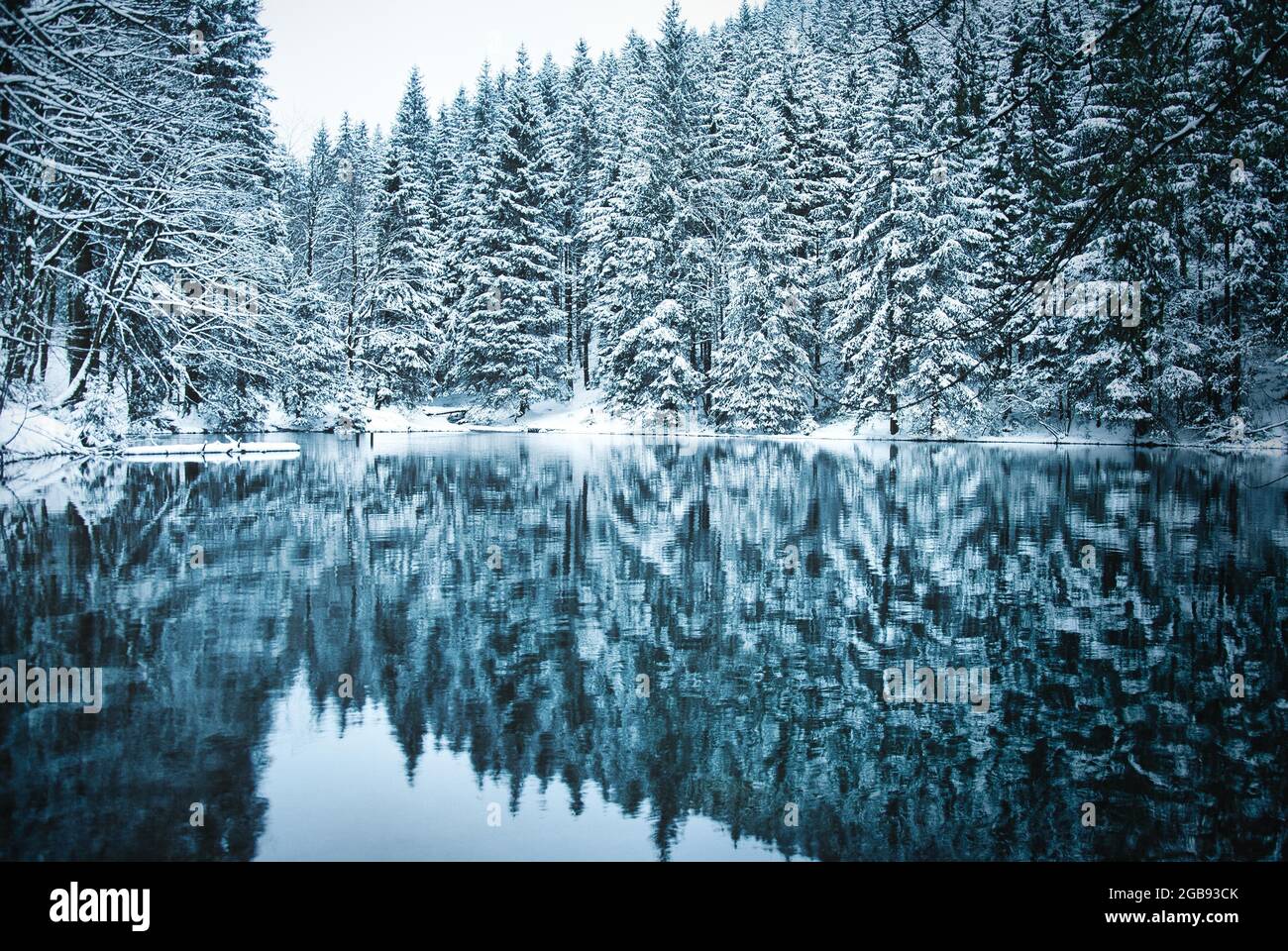 Lago nella foresta di conifere con neve, Pfanntalsteich, Foresta Turingia, Turingia, Germania Foto Stock