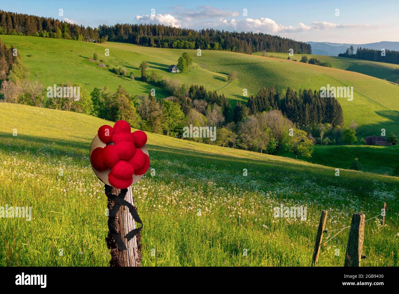 Casa colonica solitaria in paesaggio collinare, Bollenhut, primavera, St.Maergen, Foresta Nera, Baden-Wuerttemberg, composizione, Germania Foto Stock