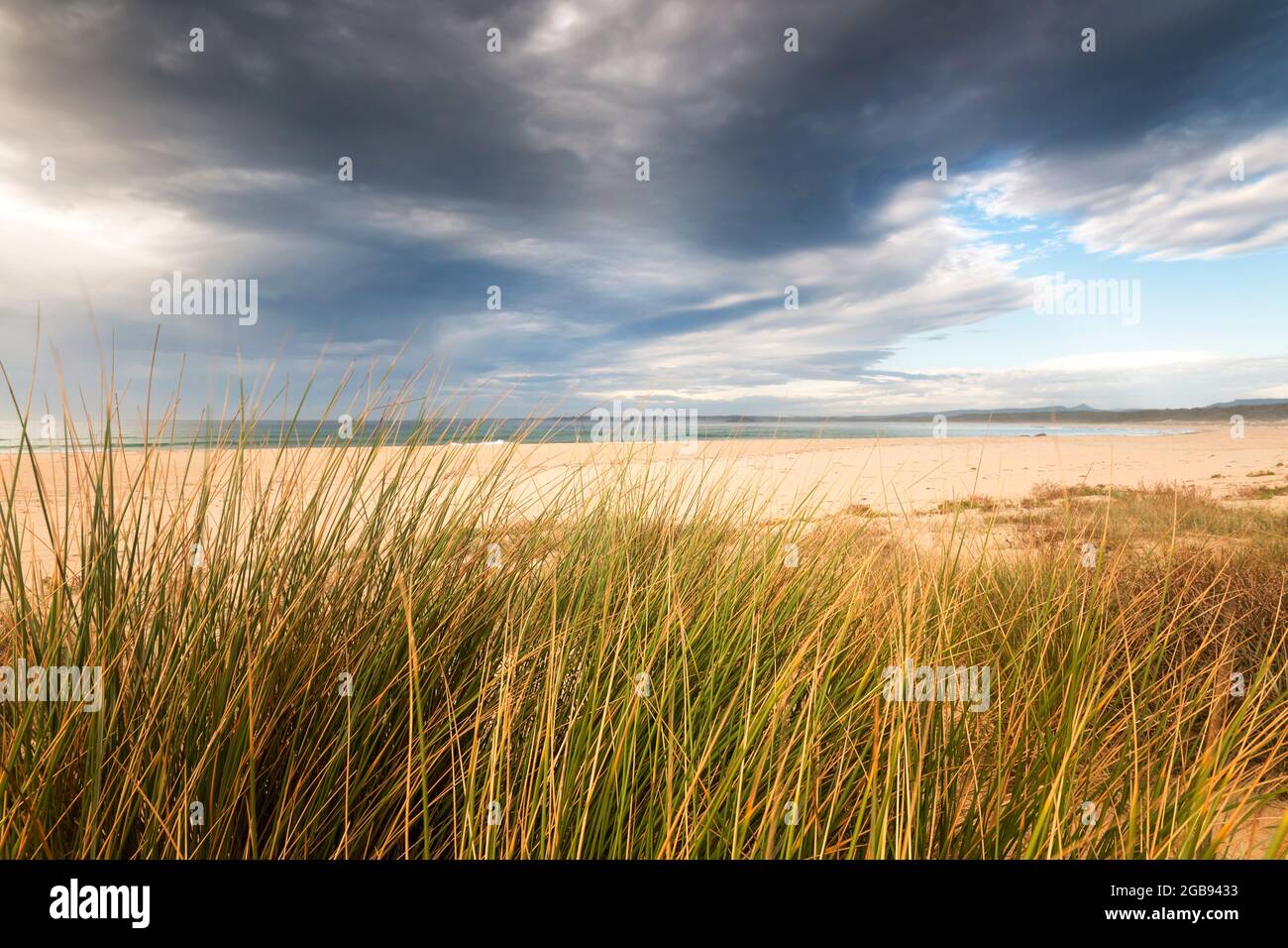 erba e sabbia sulla spiaggia sotto un cielo tempestoso Foto Stock