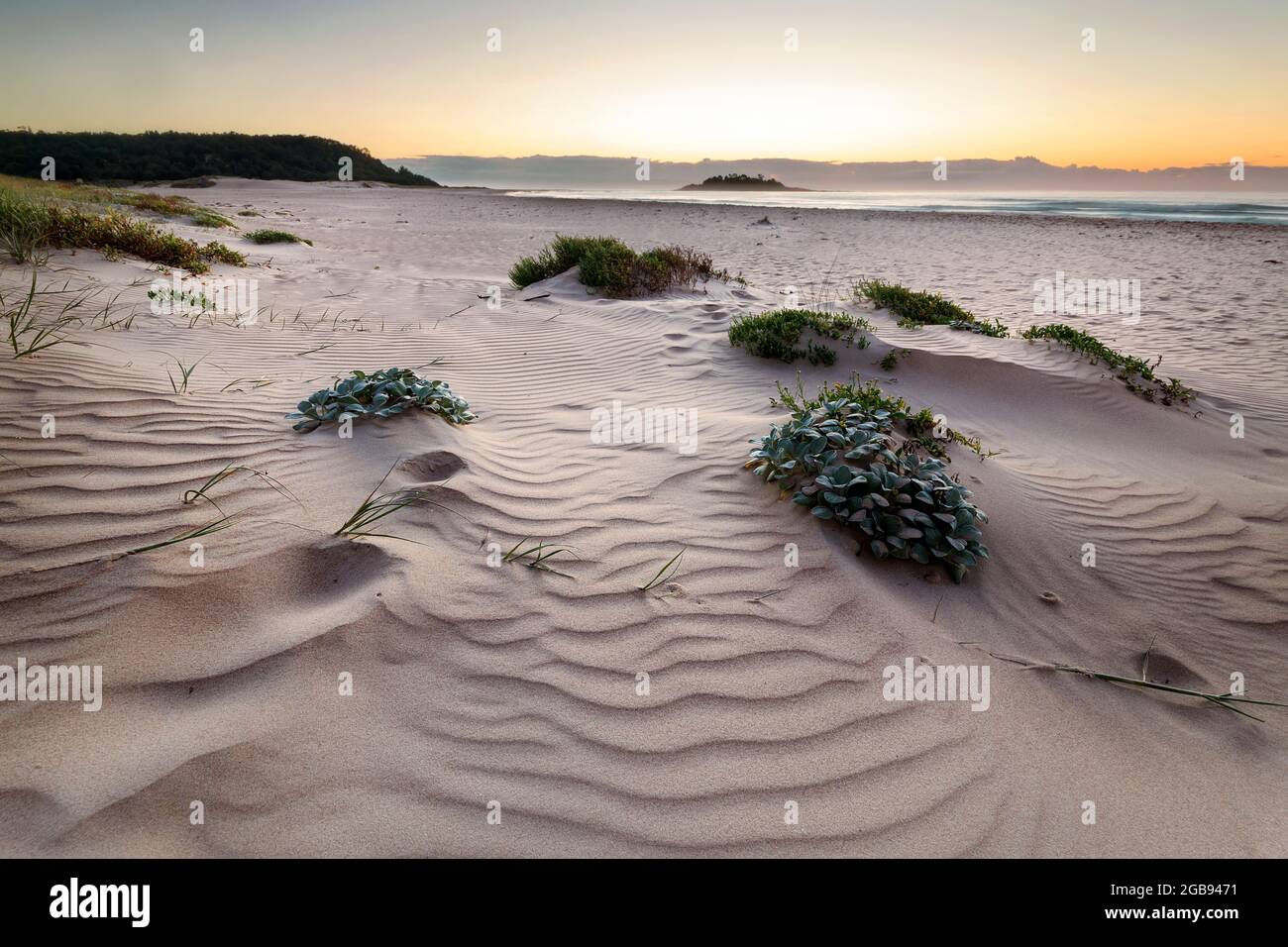 modelli nelle dune di sabbia all'alba sulla spiaggia Foto Stock