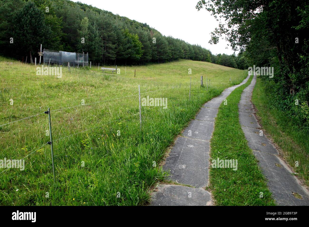 Kolonnenweg, Lochplattenweg, sentiero escursionistico attraverso boschi e prati, Gruenes Band, sentiero di confine, confine tedesco-interno, Werrabergland, Wendehausen Foto Stock