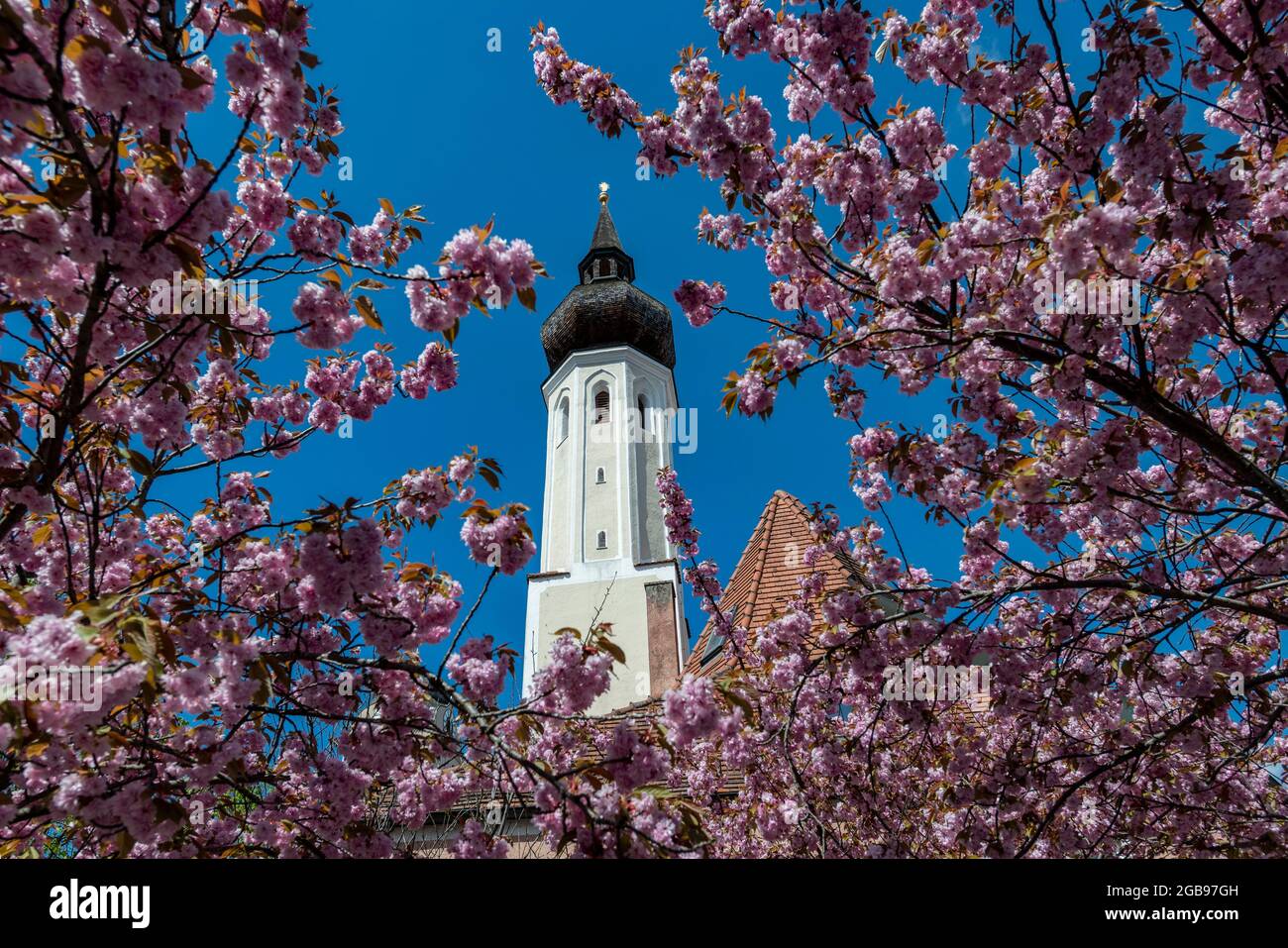 La torre della Frauenkircherl secolarizzata a Erding, alta Baviera, Baviera, Germania Foto Stock