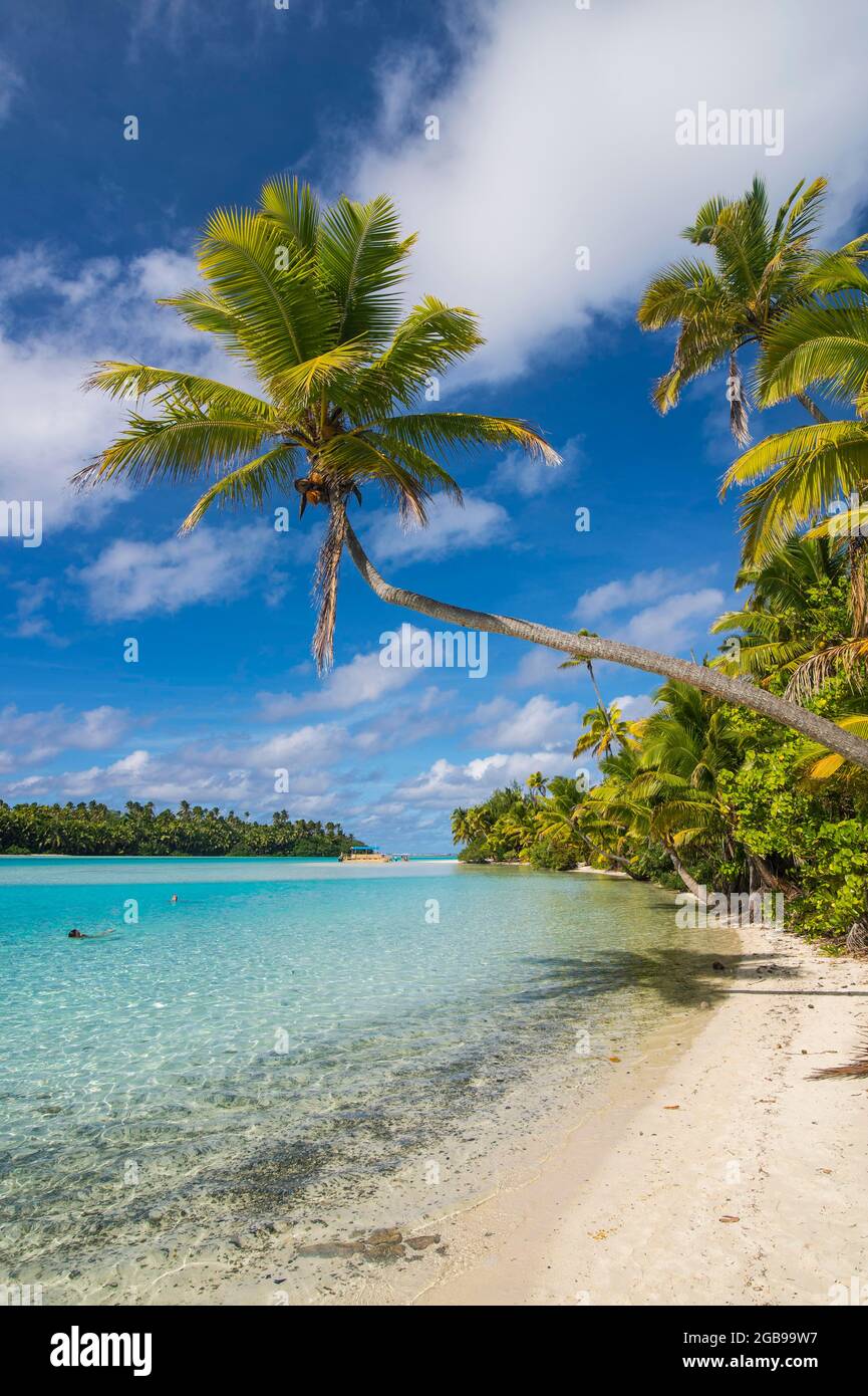 Spiaggia di sabbia bianca e palme nella laguna di Aitutaki, Rarotonga e le isole Cook Foto Stock