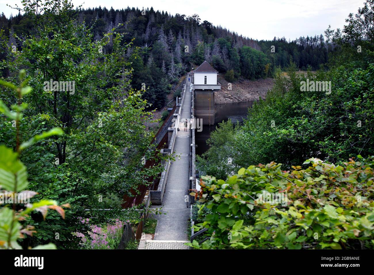 Diga, Diga Eckerstausee, Parco Nazionale di Harz, colonna Trail, Hole Plate Trail, Green Belt, Border Trail, Diga Eckertal, Bad Harzburg, Goslar County, Harz Foto Stock