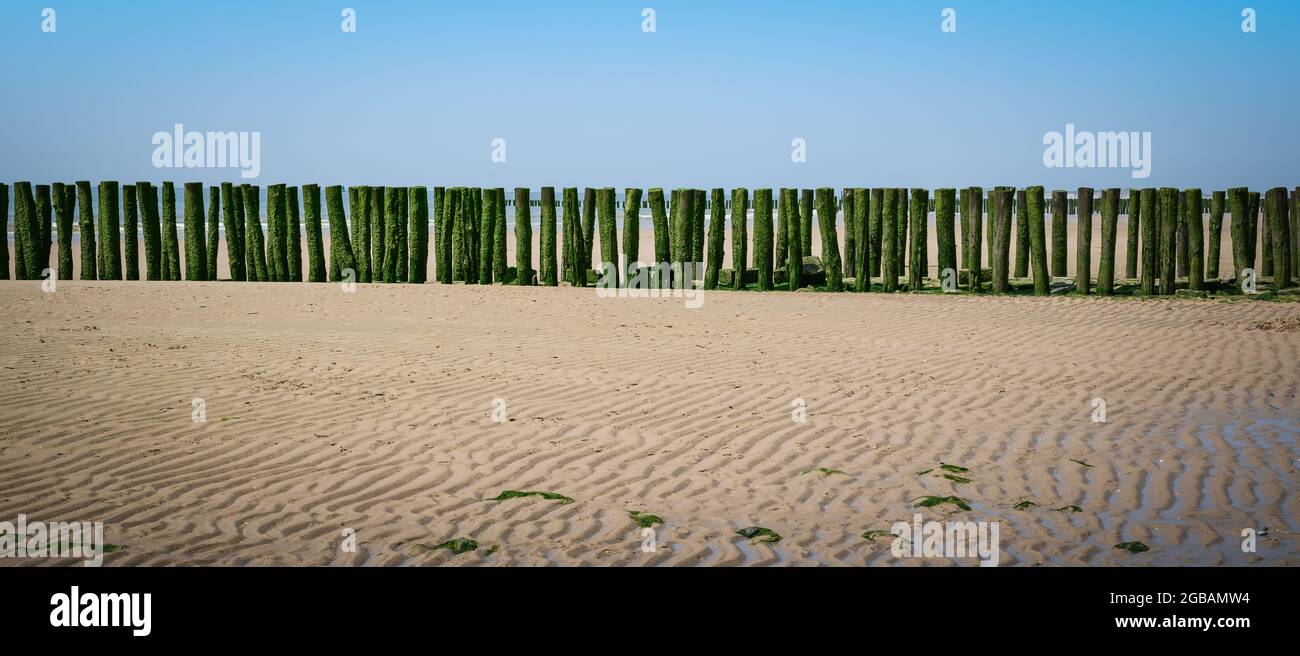 Strutture costiere sulla spiaggia, Zelanda, Paesi Bassi. Foto Stock