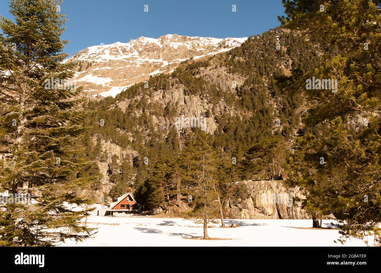 Inverno nella riserva naturale Pont d'Espagne, favorito dagli sciatori di fondo e dagli escursionisti con racchette da neve, Francia Foto Stock