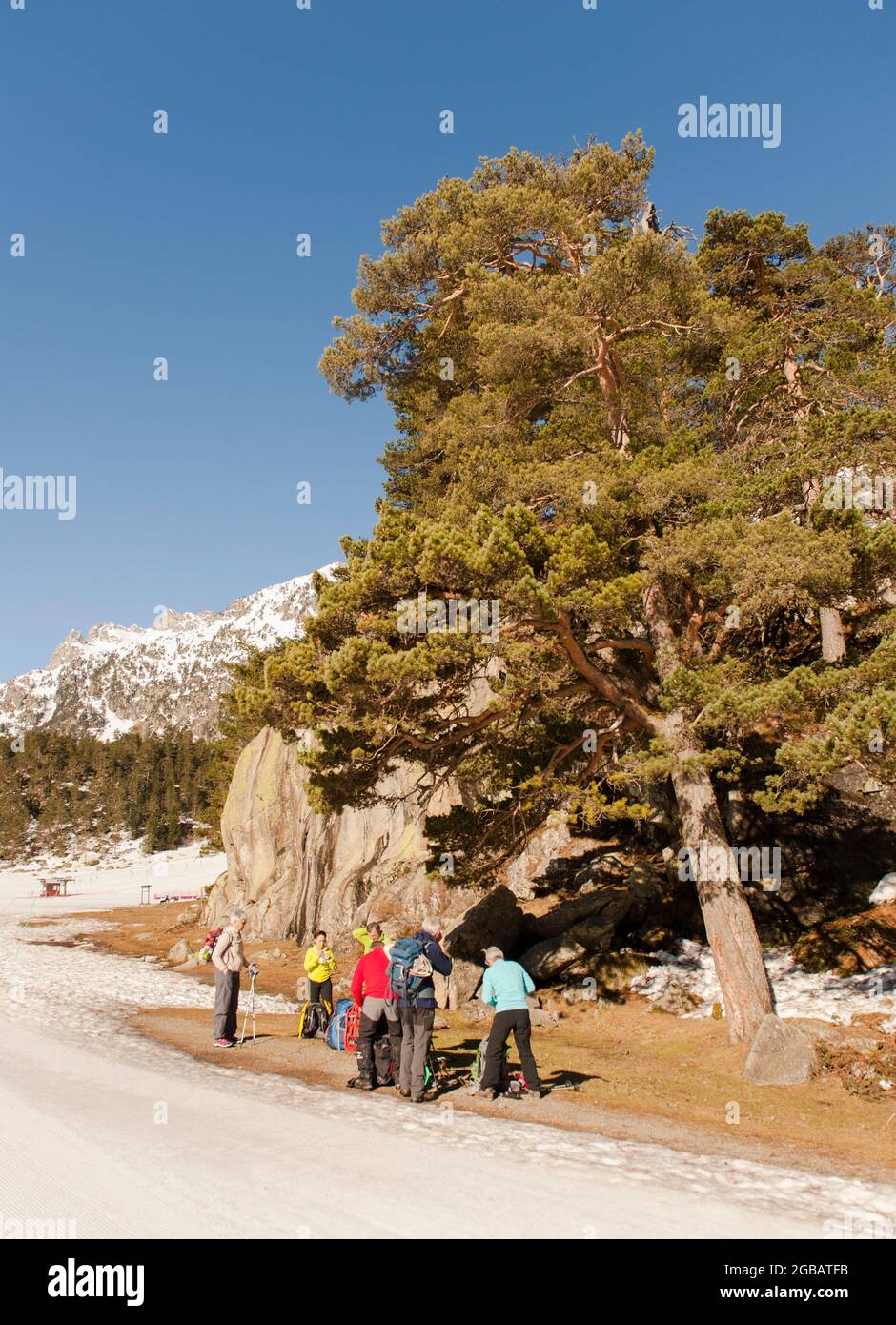 Inverno nella riserva naturale Pont d'Espagne, favorito dagli sciatori di fondo e dagli escursionisti con racchette da neve, Francia Foto Stock