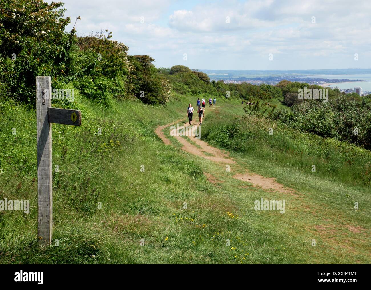 Sentiero tra Eastbourne e Beachy Head, East Sussex. Foto Stock