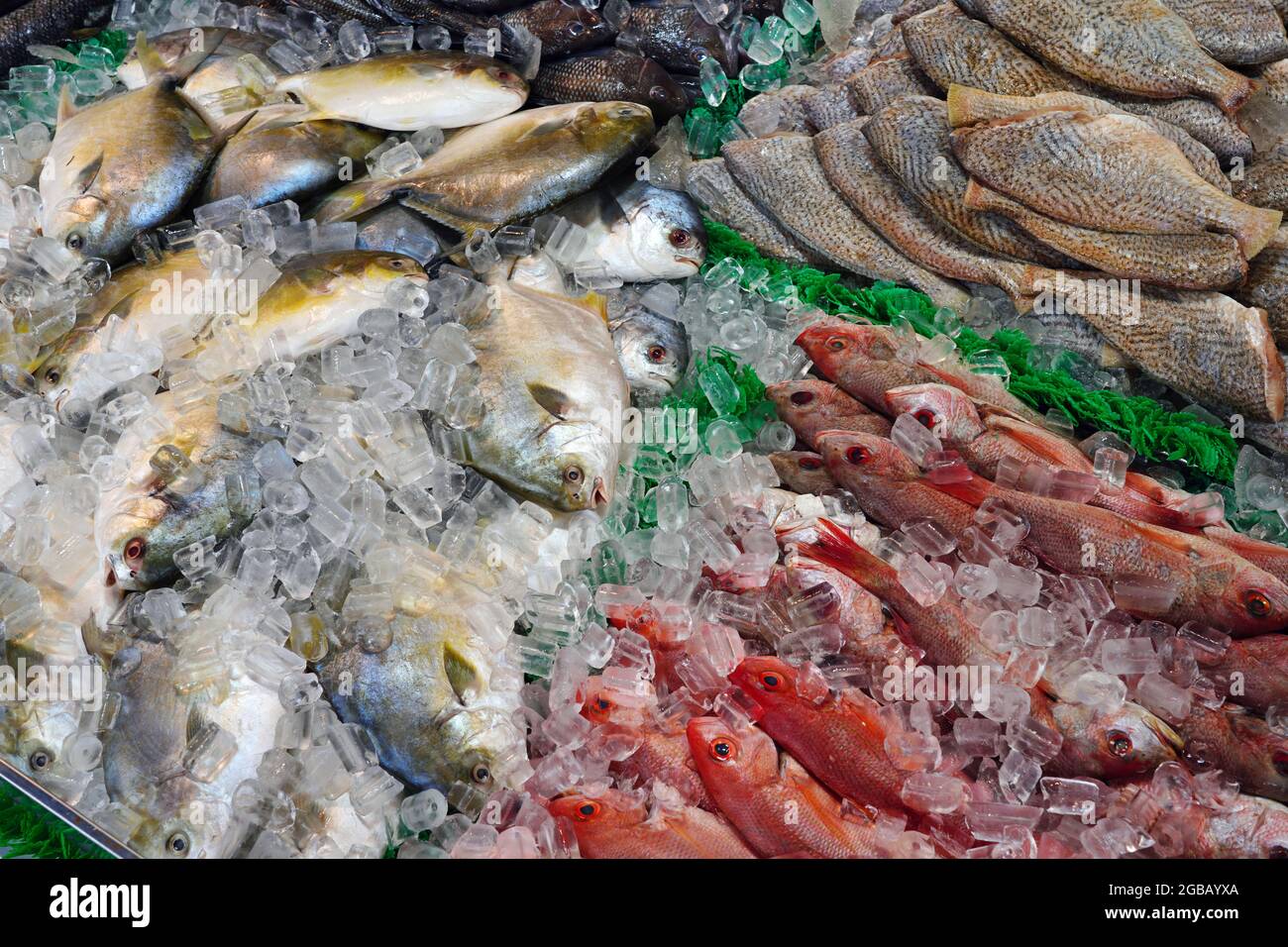 Pesce fresco su ghiaccio in un mercato di pesce a Washington, DC Foto Stock