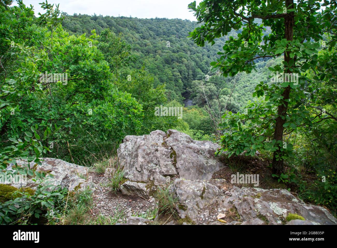Parco nazionale Thayatal - rocce Foto Stock