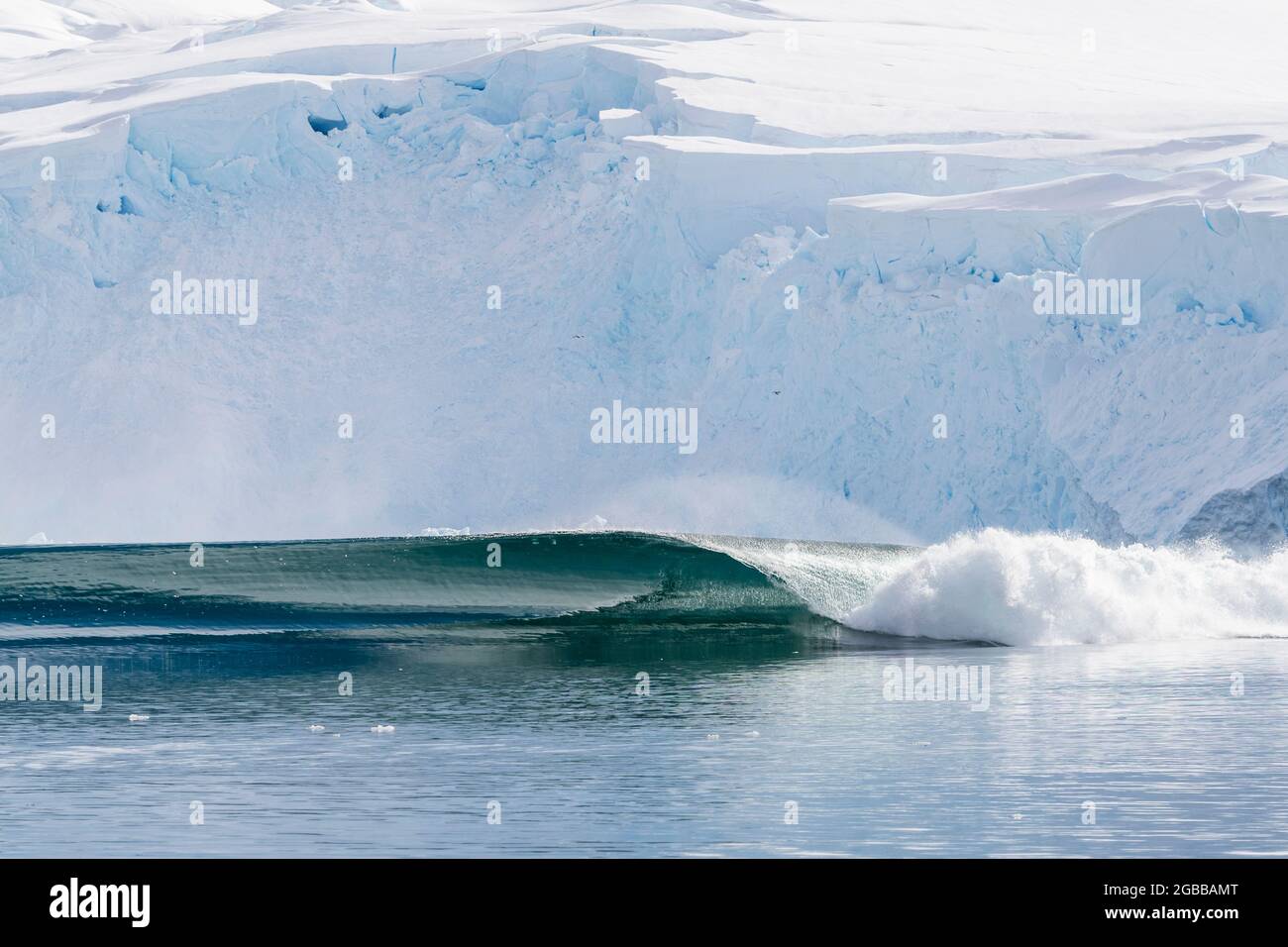 Una massiccia serie di onde si è formata dopo un enorme evento di calving dal ghiacciaio di Neko Harbour, Antartide, regioni polari Foto Stock