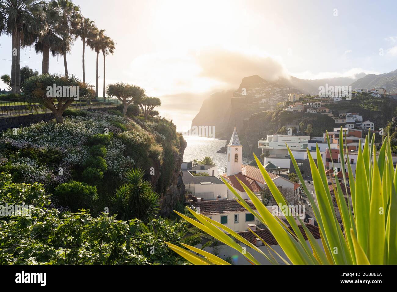 Tramonto sugli edifici bianchi di Camara de Lobos incorniciati da piante, isola di Madeira, Portogallo, Atlantico, Europa Foto Stock
