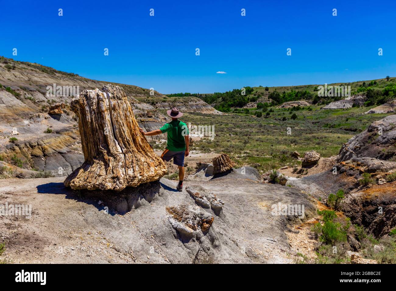 Gli uomini si godono la vista lungo il percorso del percorso del percorso della Foresta pietrificata all'interno del Parco Nazionale Theodore Roosevelt, North Dakota, USA Foto Stock