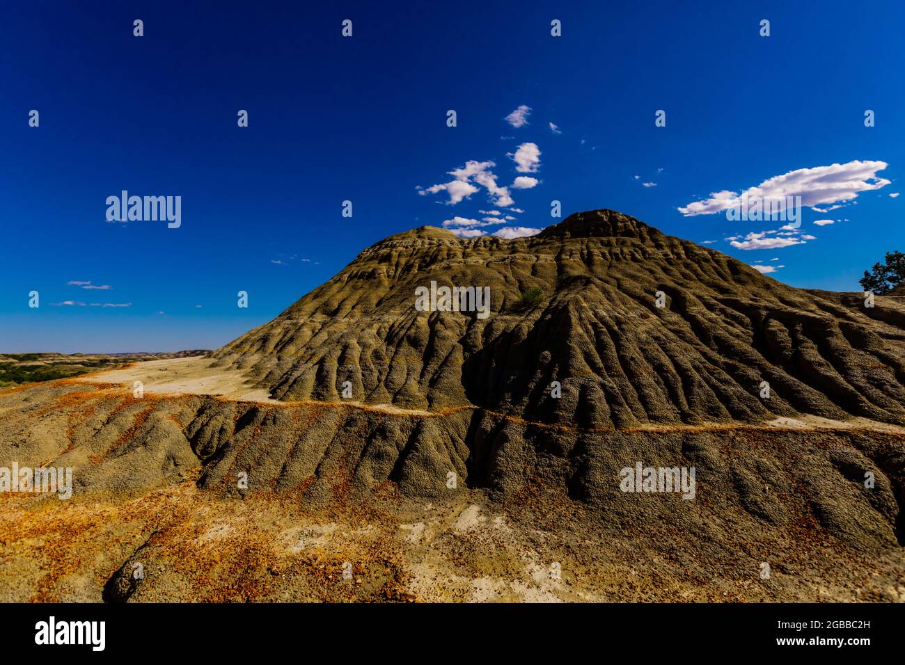 Bella vista sul percorso del percorso della Foresta pietrificata all'interno del Parco Nazionale di Theodore Roosevelt, North Dakota, Stati Uniti d'America, Nord America Foto Stock