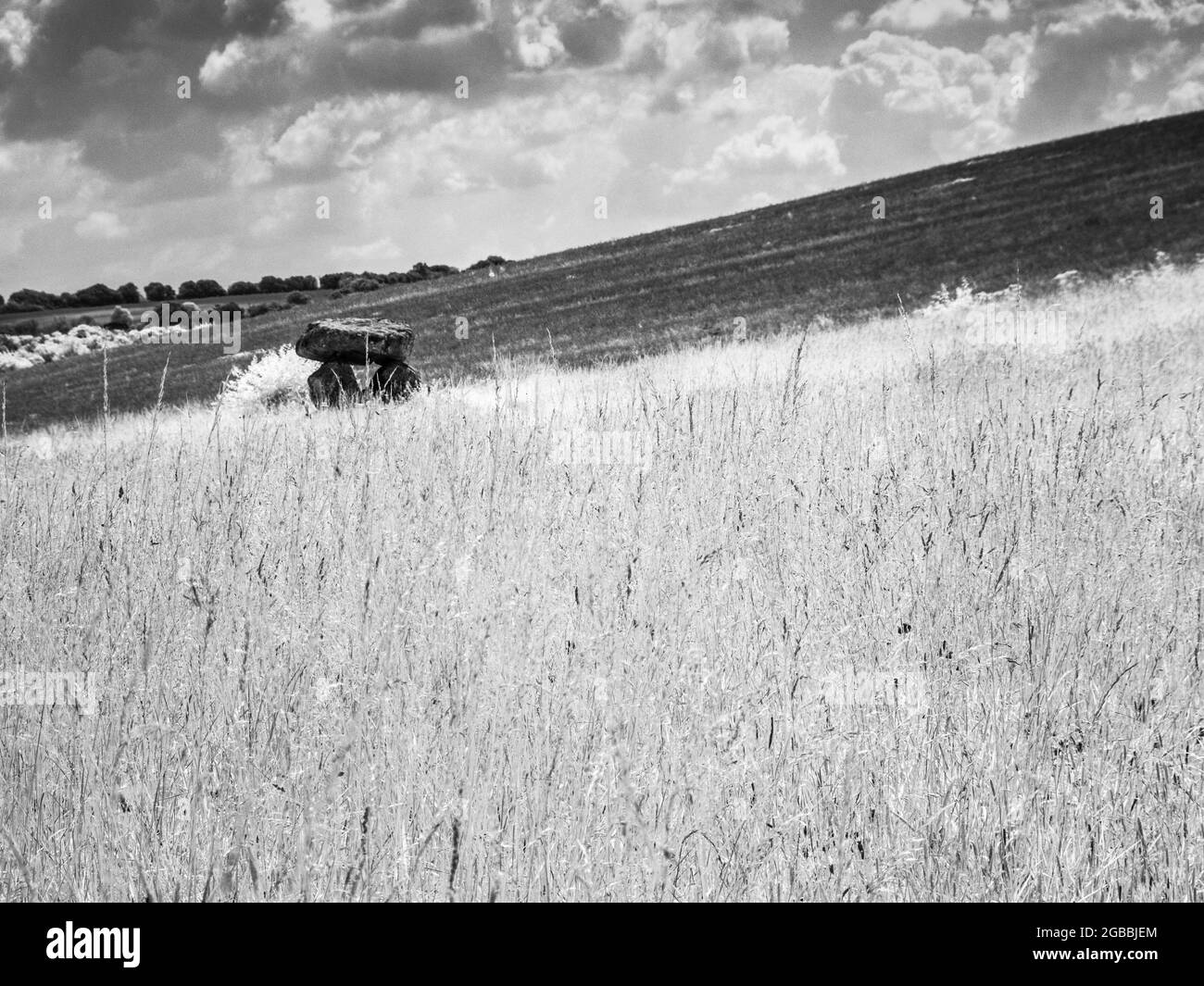 Il Devil's Den vicino a Marlborough nel Wiltshire, sparato a infrarossi. Foto Stock