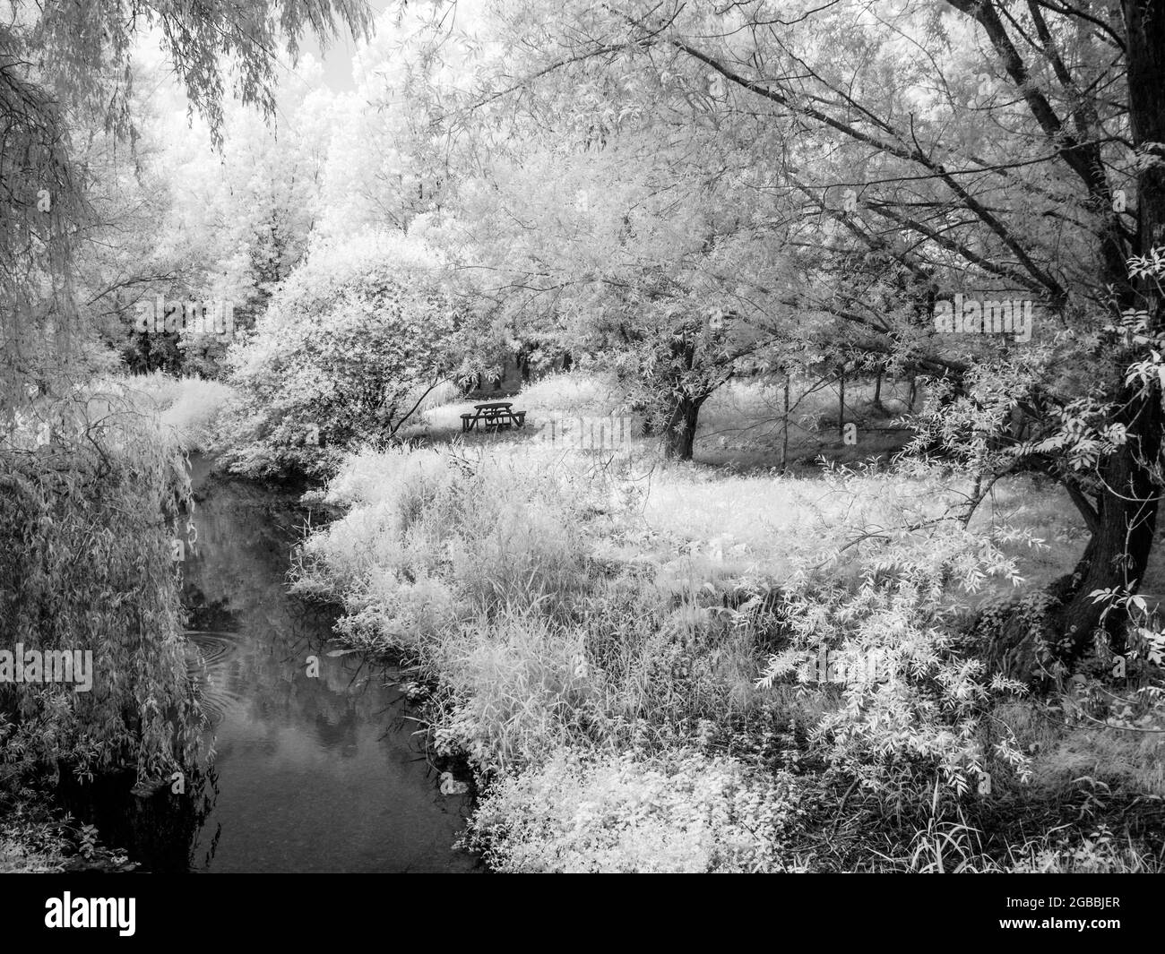 Il fiume Kennett vicino a Marlborough nel Wiltshire, sparato a infrarossi. Foto Stock