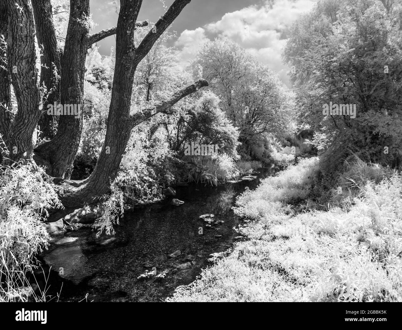 Il fiume Kennett vicino a Marlborough nel Wiltshire, sparato a infrarossi. Foto Stock