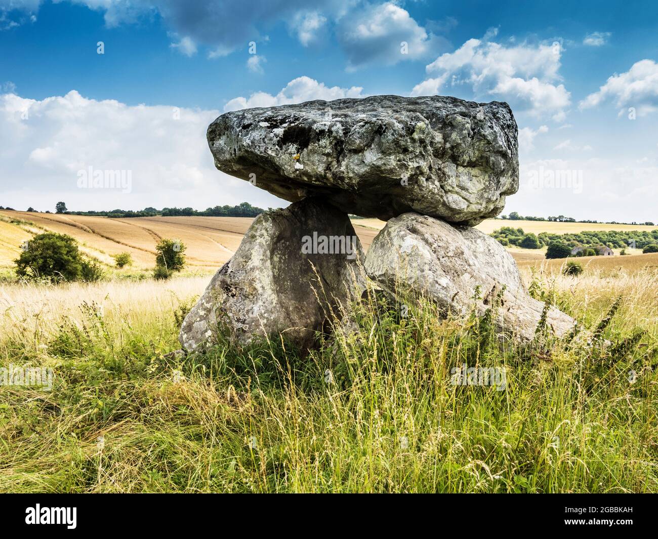 Il Devil's Den vicino a Marlborough nel Wiltshire. Foto Stock