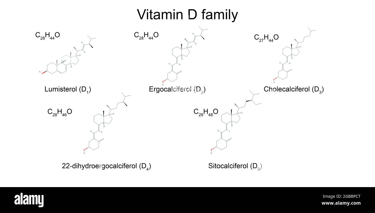 Formule chimiche e formule strutturali dei membri della famiglia della vitamina D, fondo bianco Foto Stock