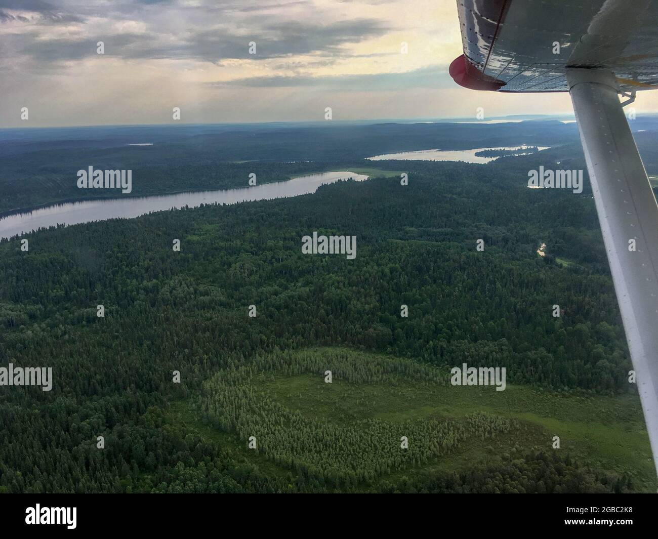 Vista del lago canadese da un piccolo aereo Foto Stock