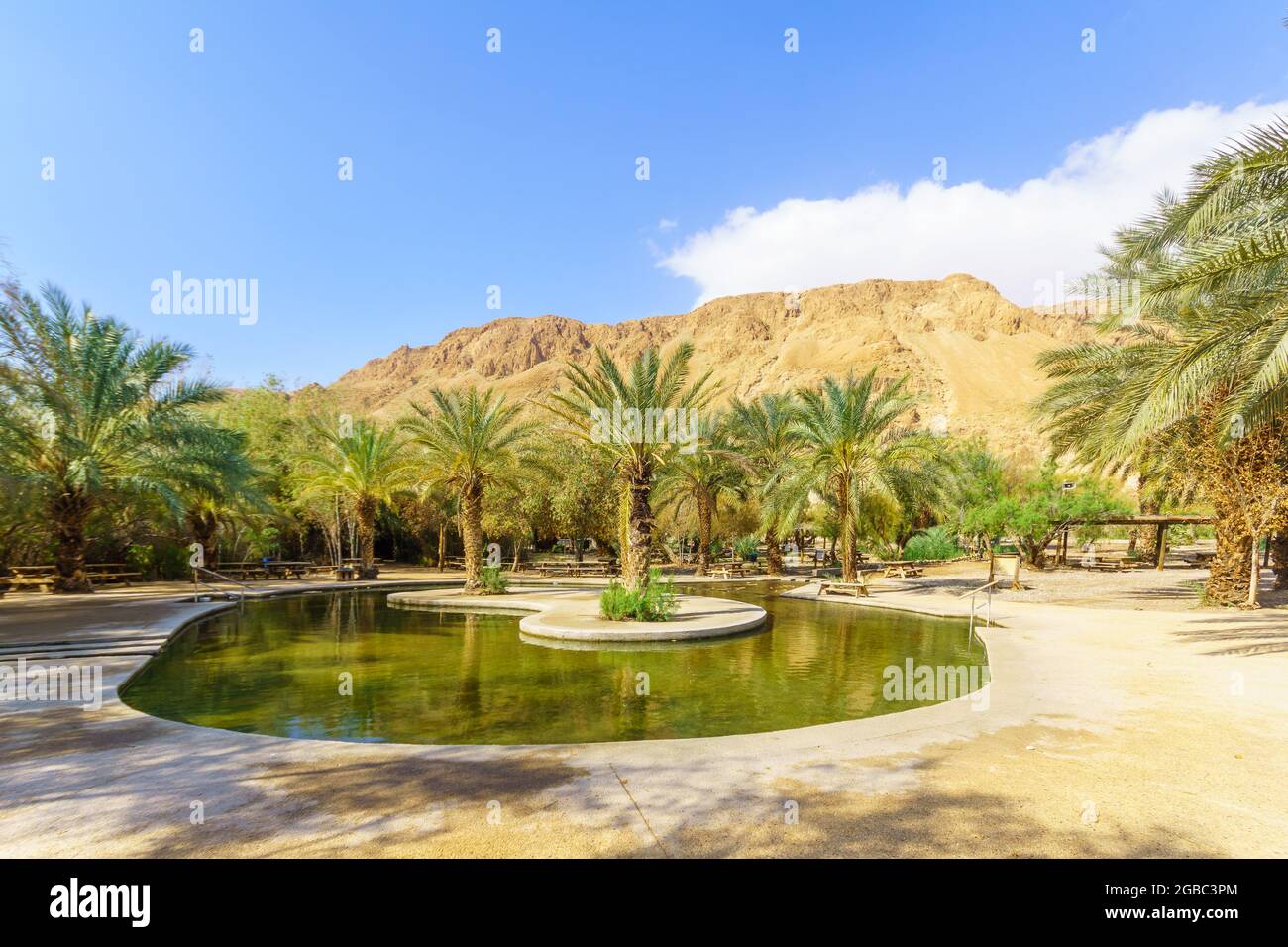 Vista di una piscina per bambini, con palme e scogliere, nella riserva naturale di Einot Tzukim (Ein Feshkha), sulla costa nord occidentale del Mar Morto, ISR meridionale Foto Stock
