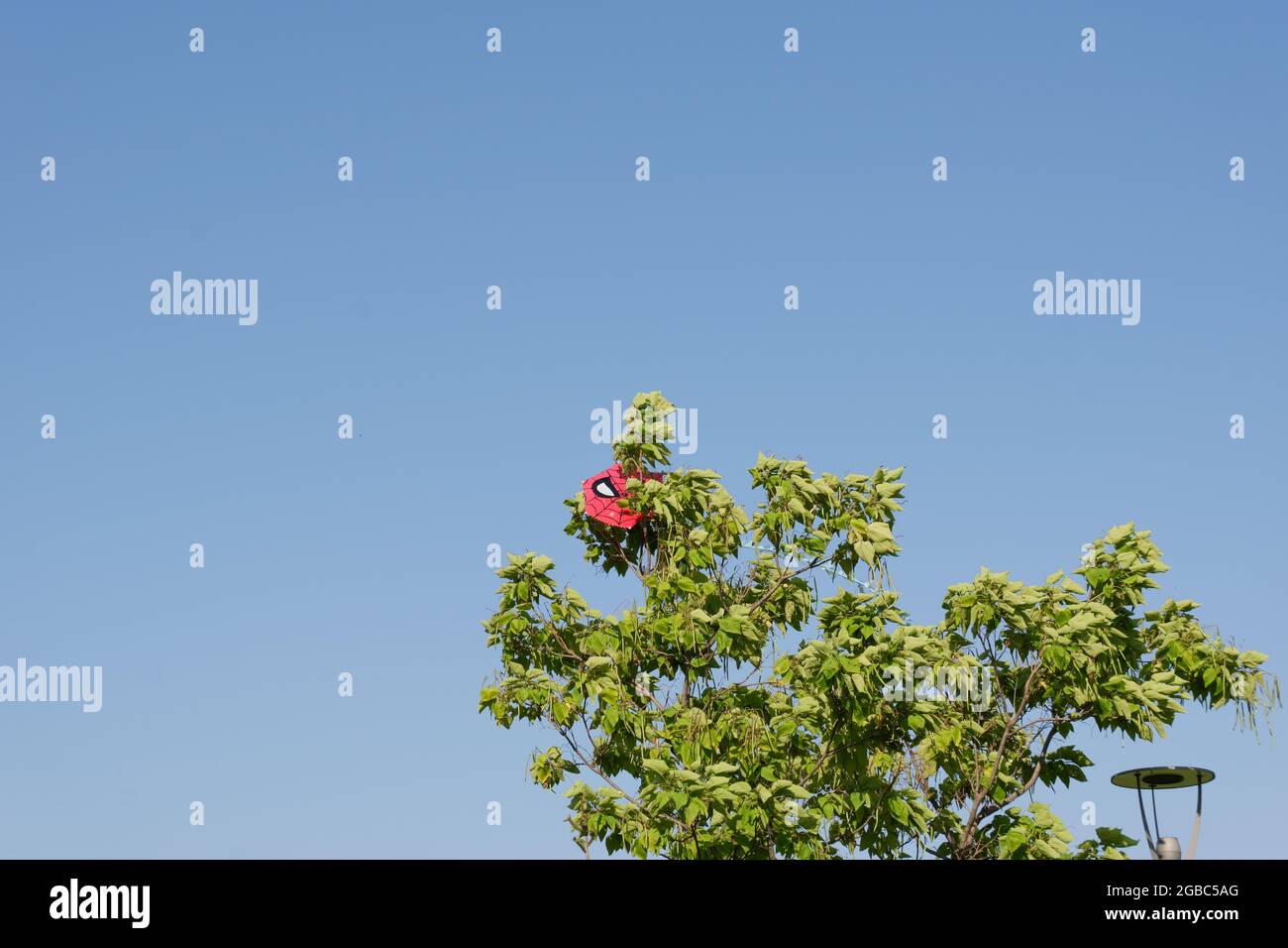 Aquilone rosso con la figura di Spiderman bloccato nell'albero in una giornata di sole Foto Stock