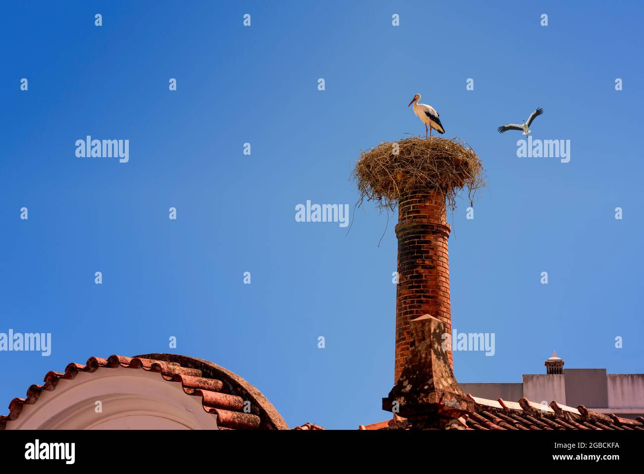 Cicogne bianche europee nidificano Ciconia ciconia su un camino con una cicogna in residenza contro un cielo blu chiaro. Silves nella regione di Algarve del Porto Foto Stock