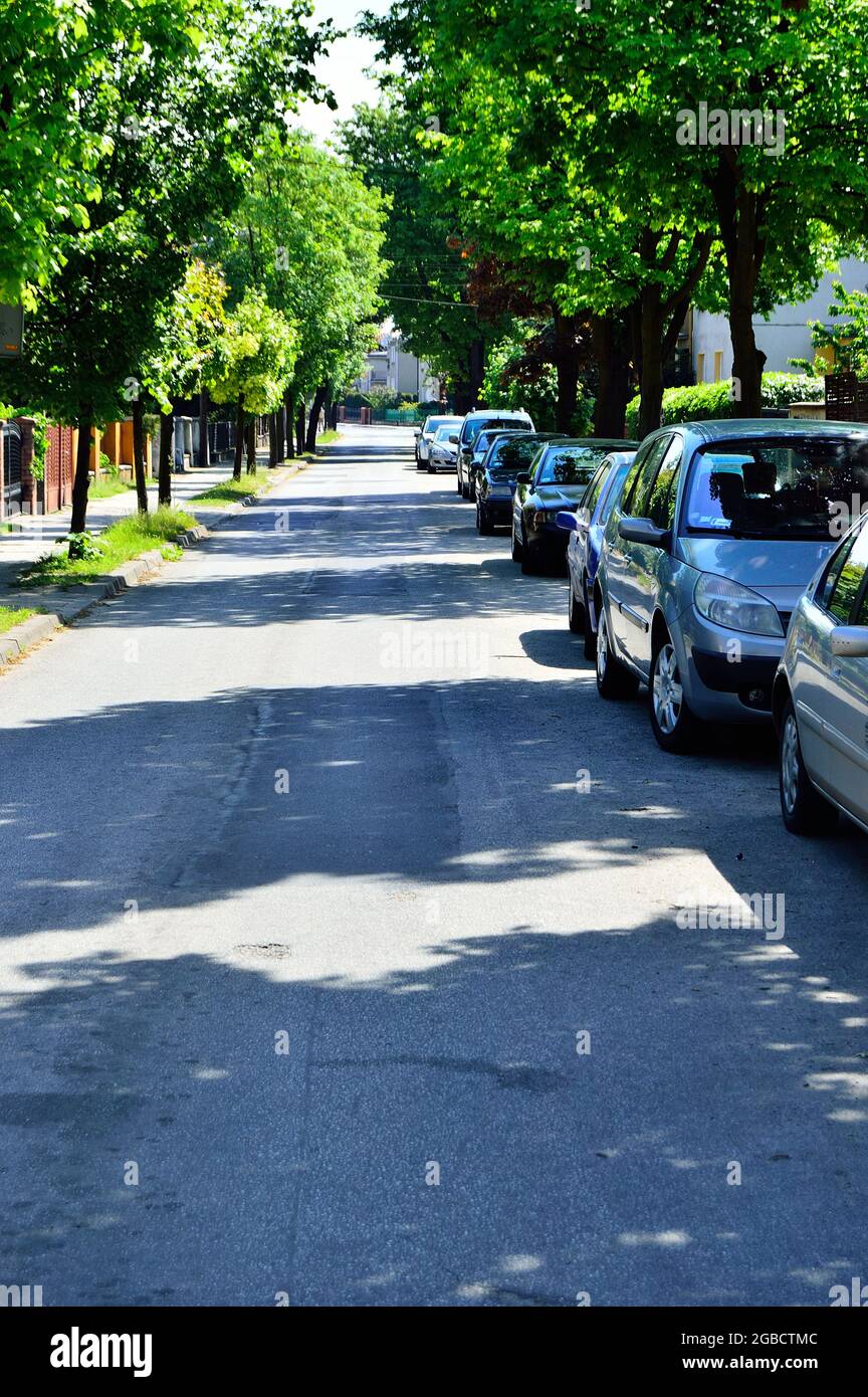 Auto parcheggiate in strada sotto gli alberi in una giornata di sole. Estate. Foto Stock