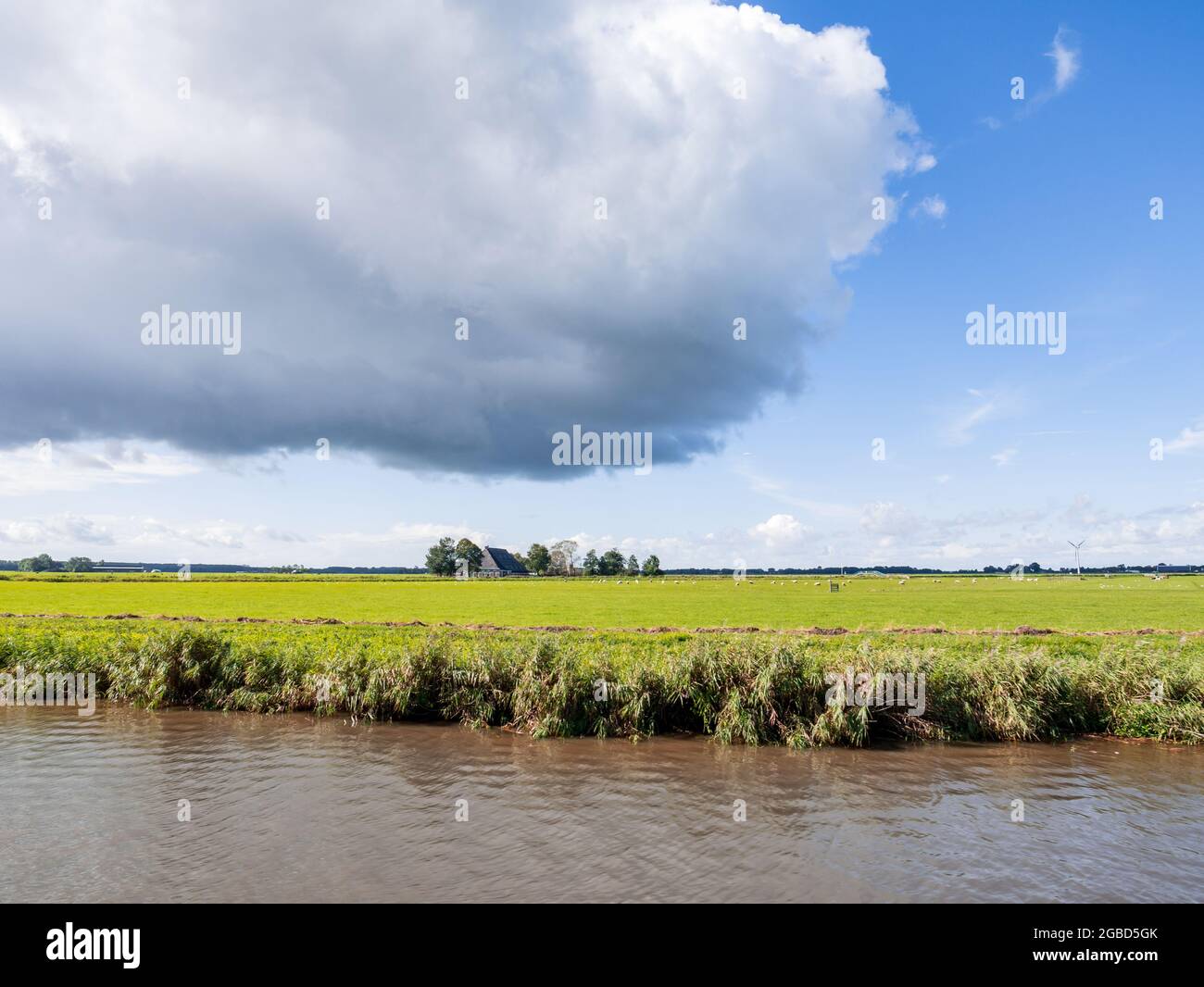 Panorama del paesaggio polder con prateria dal canale Dokkumer EE, Frisia, Paesi Bassi Foto Stock