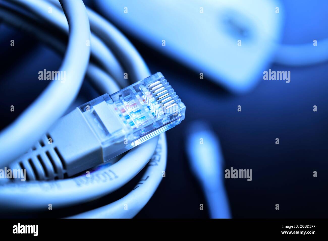Primo piano del cavo ethernet per la connessione di rete LAN Foto Stock