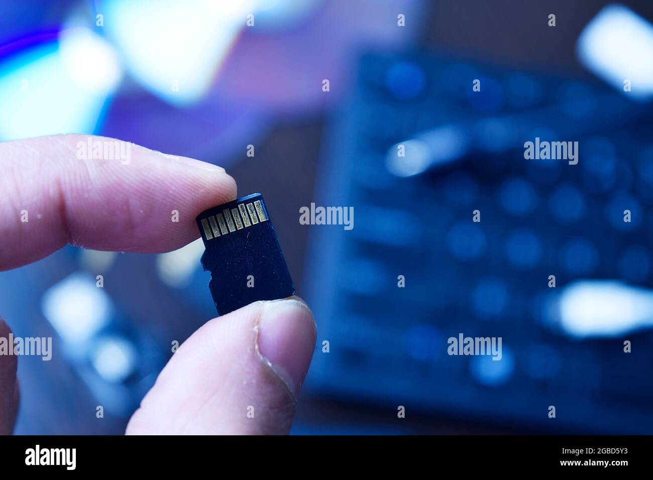 Scheda micro SD in mano, dispositivo di archiviazione flash Foto Stock