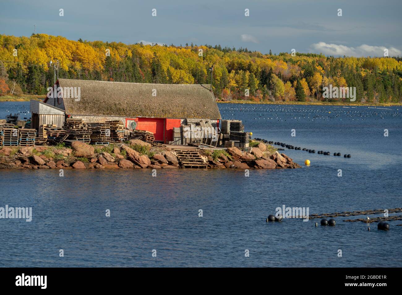 Campi di cozze acquatiche coltivate nelle insenature lungo le rive del Principe Edoardo, Canada. Foto Stock