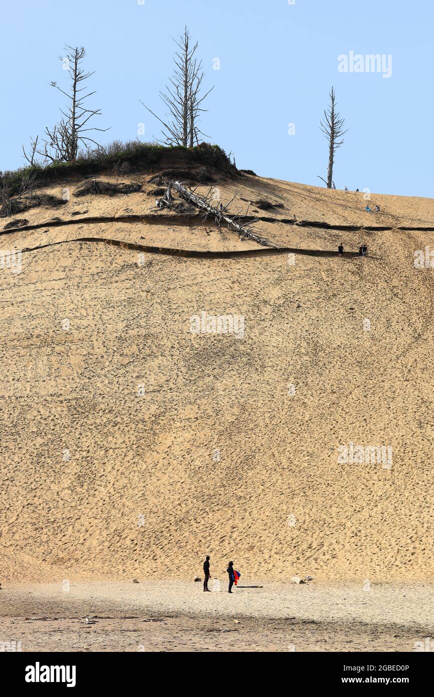 Lungo la costa dell'Oregon: Le dune di sabbia nell'area naturale dello stato di Cape Kiwanda, una delle tre fermate lungo il percorso panoramico dei tre capes. Foto Stock