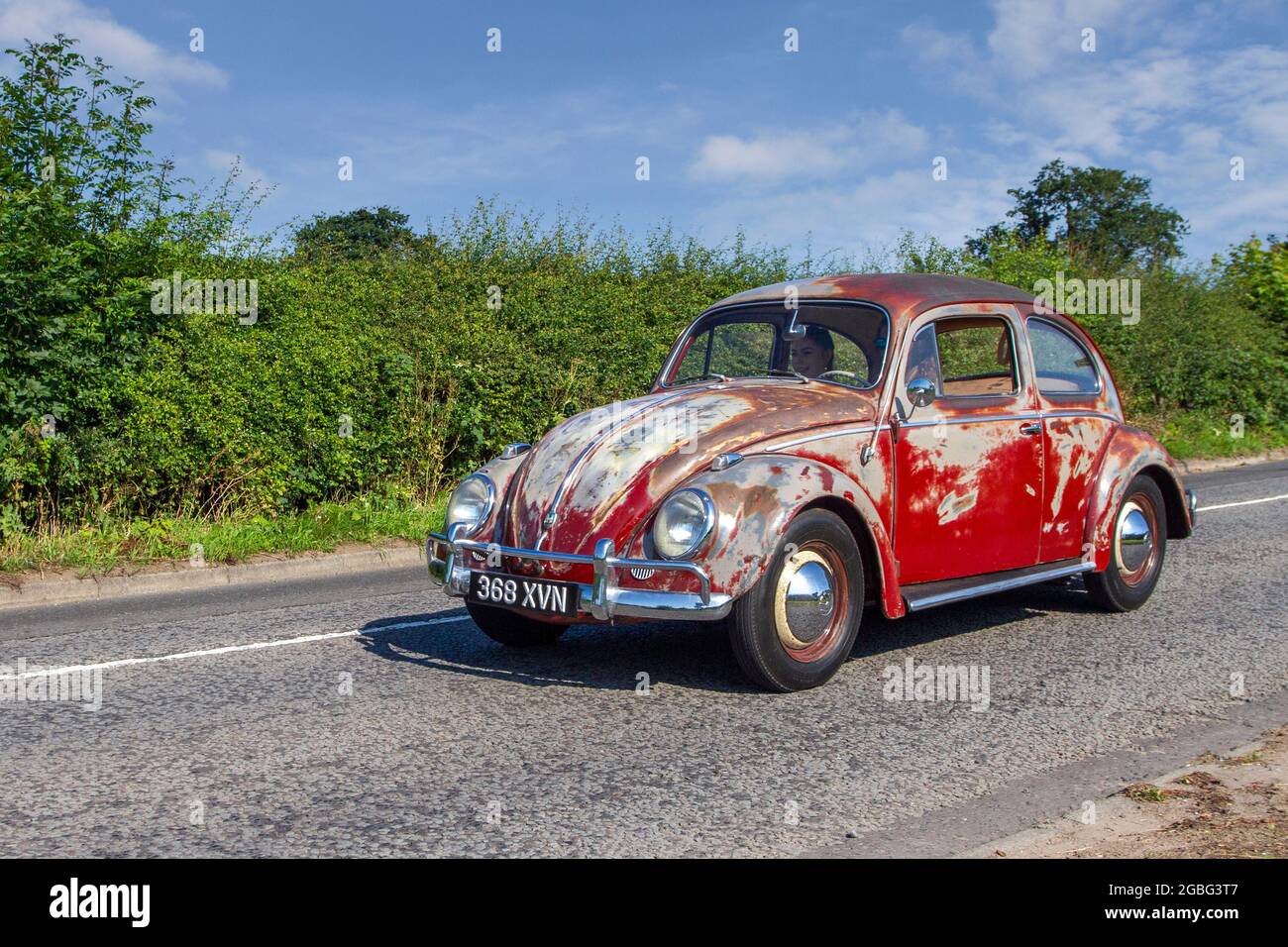 1959, 50s anni cinquanta Rusty left drive rosso vecchio tipo VW Volkswagen Beetle, Käfer, Vocho, Fusca, Cocinelle, Maggiolino, Punch Buggy, People’s Car, raffreddato ad aria, con motore posteriore, Auto compatta a trazione posteriore 1200cc 2DR sulla strada per Capesthorne Hall Classic Car Show di luglio, Cheshire, Regno Unito Foto Stock