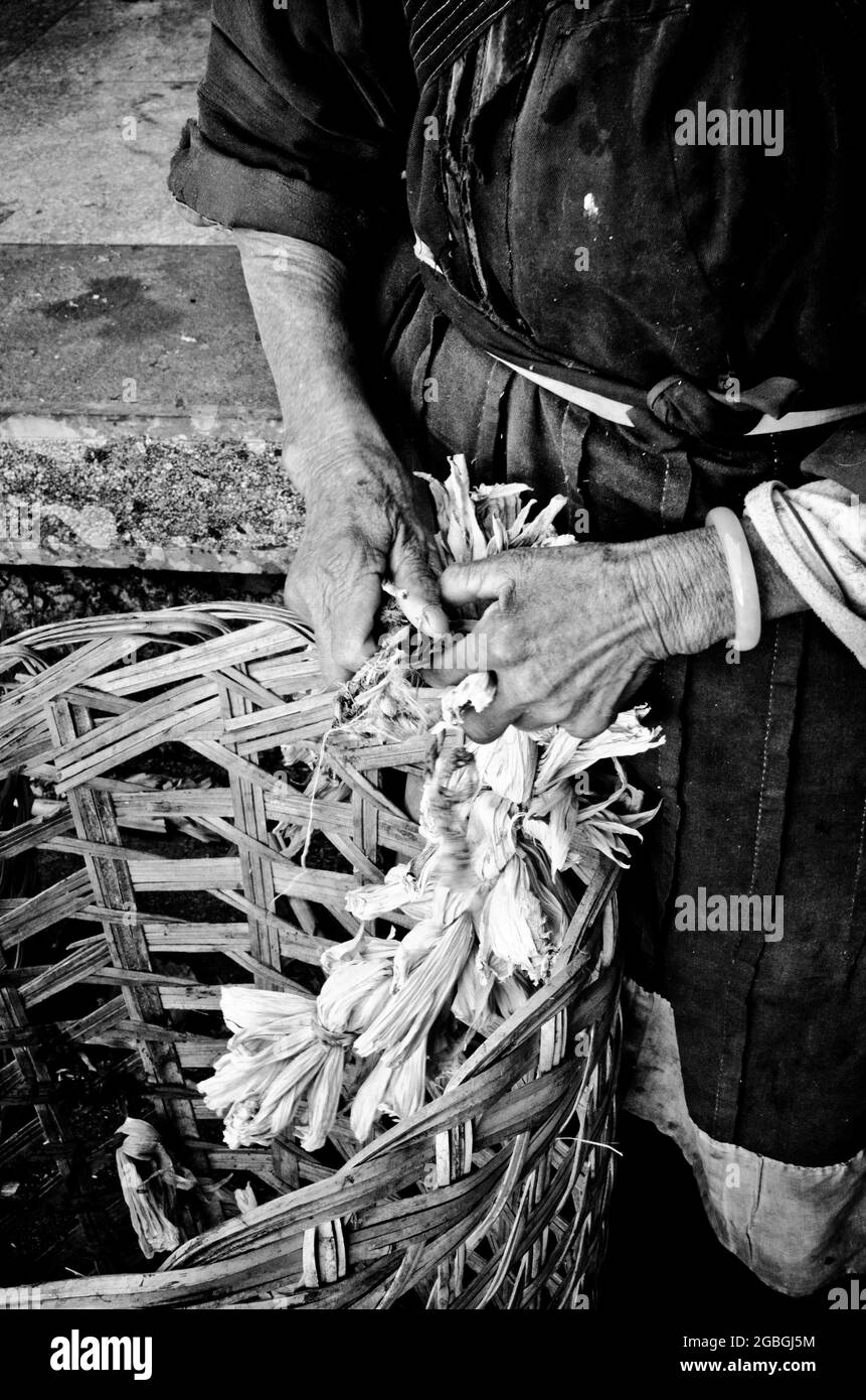Primo piano delle mani delle donne che tessono la buccia di mais Foto Stock