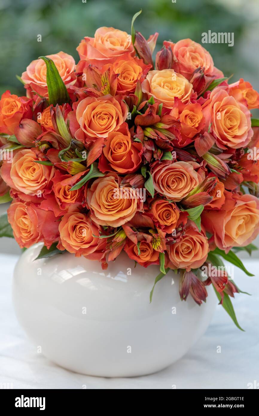 Botanica, bouquet rotondo di rose in arancione, PER IL SALUTO/CARTOLINA-USO IN GERM.SPEAK.C ALCUNE RESTRIZIONI POSSONO APPLICARSI Foto Stock