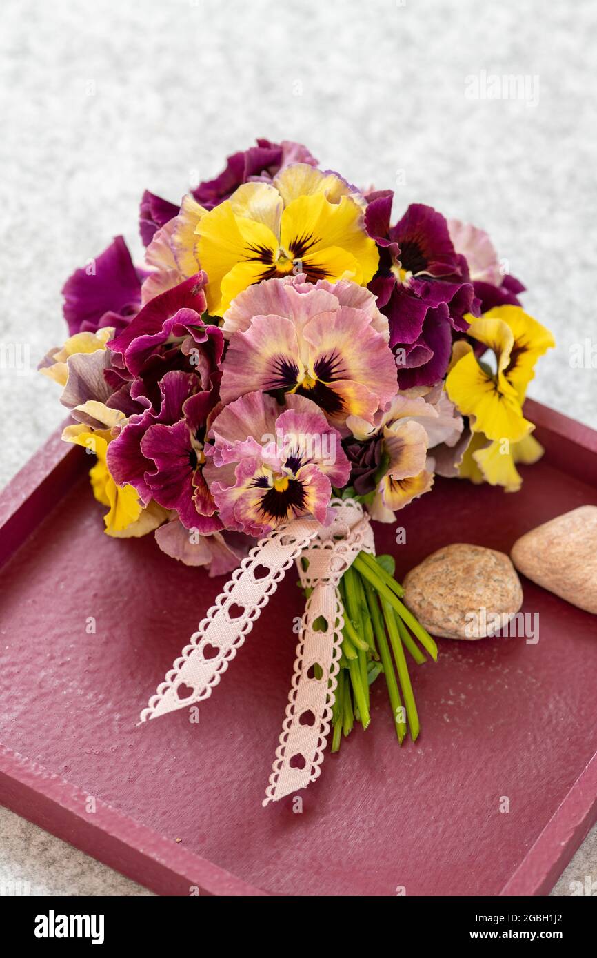 Botanica, elegante dai fiori di pansie, Viola wittrockiana, PER IL SALUTO/CARTOLINA-USO IN GERM.SPEAK.C ALCUNE RESTRIZIONI POSSONO APPLICARSI Foto Stock