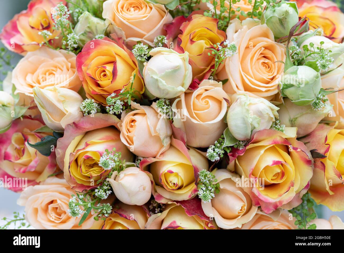 Botanica, bouquet di rose in oro crema, PER IL SALUTO/CARTOLINA-USO IN GERM.SPEAK.C ALCUNE RESTRIZIONI POSSONO APPLICARSI Foto Stock