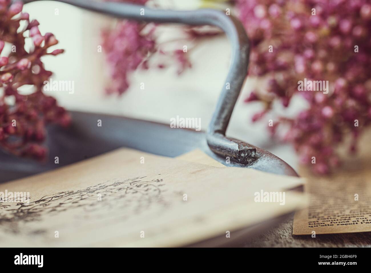 Primo piano di ritagli di giornale vintage su un vassoio di metallo accanto ai fiori rosa Foto Stock