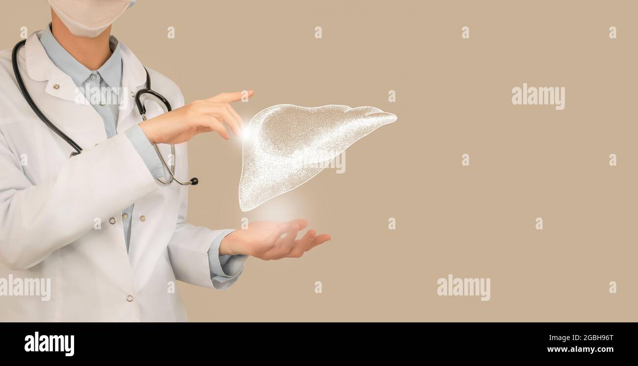 Dottore femminile che tiene in mano un disegno volumetrico virtuale del fegato. Organo umano Handrawn, spazio copia sul lato destro, colore beige. Ospedale sanitario se Foto Stock